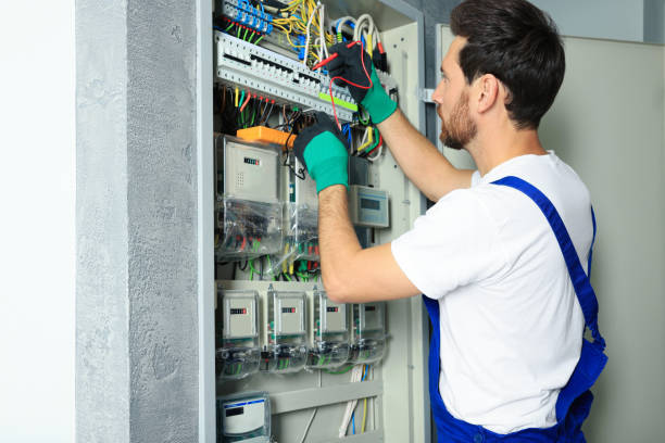 Best Electric Panel Repair  in Chesilhurst, NJ